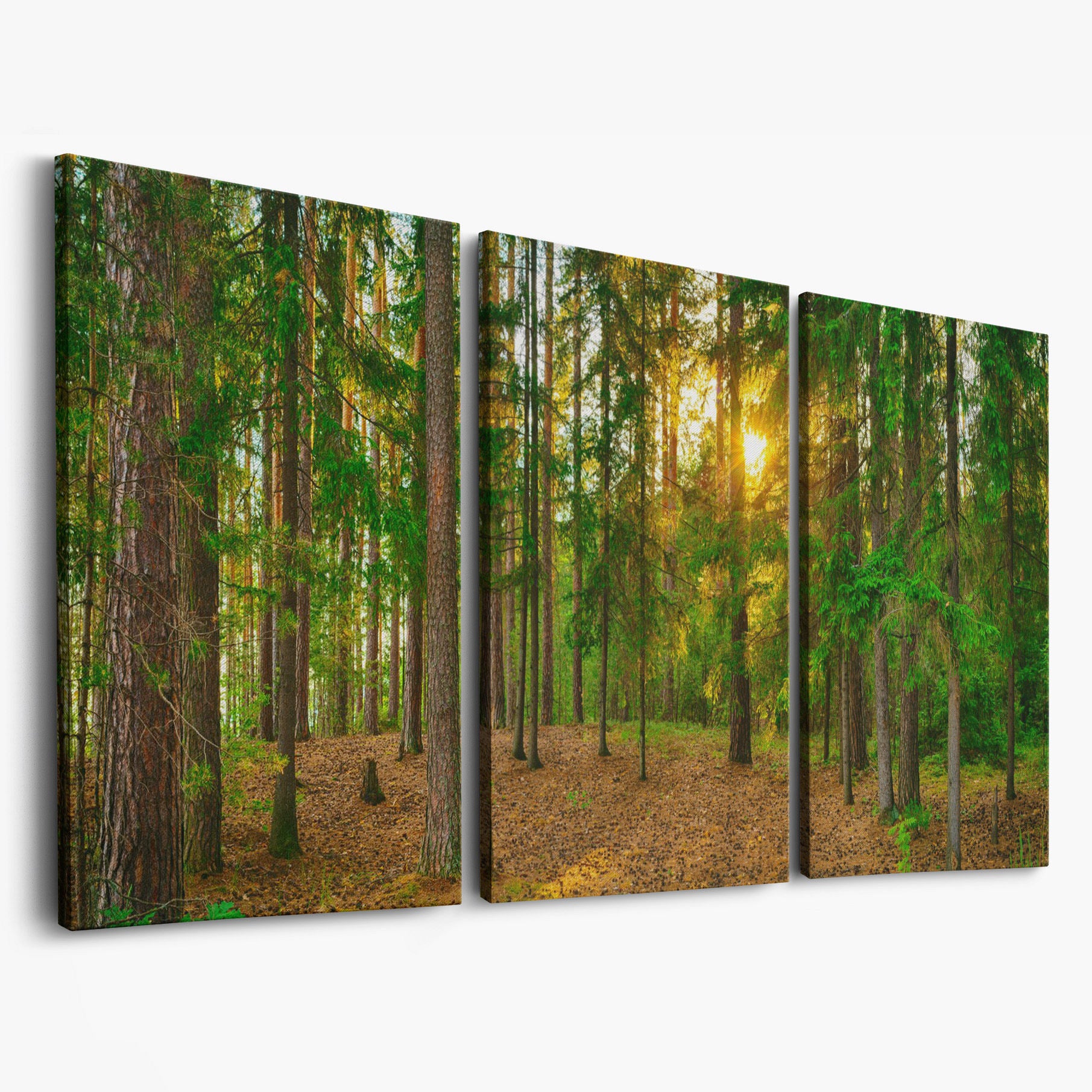 Sunlit Forest Canvas Art, Golden Hour Through the Tree Canopy as 3-panel split version