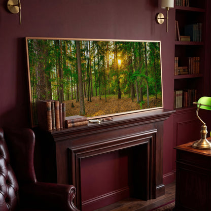 Sunlit Forest Canvas Art, Golden Hour Through the Tree Canopy in antique gold floating frame