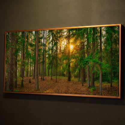 Sunlit Forest Canvas Art, Golden Hour Through the Tree Canopy shown in antique gold floating frame