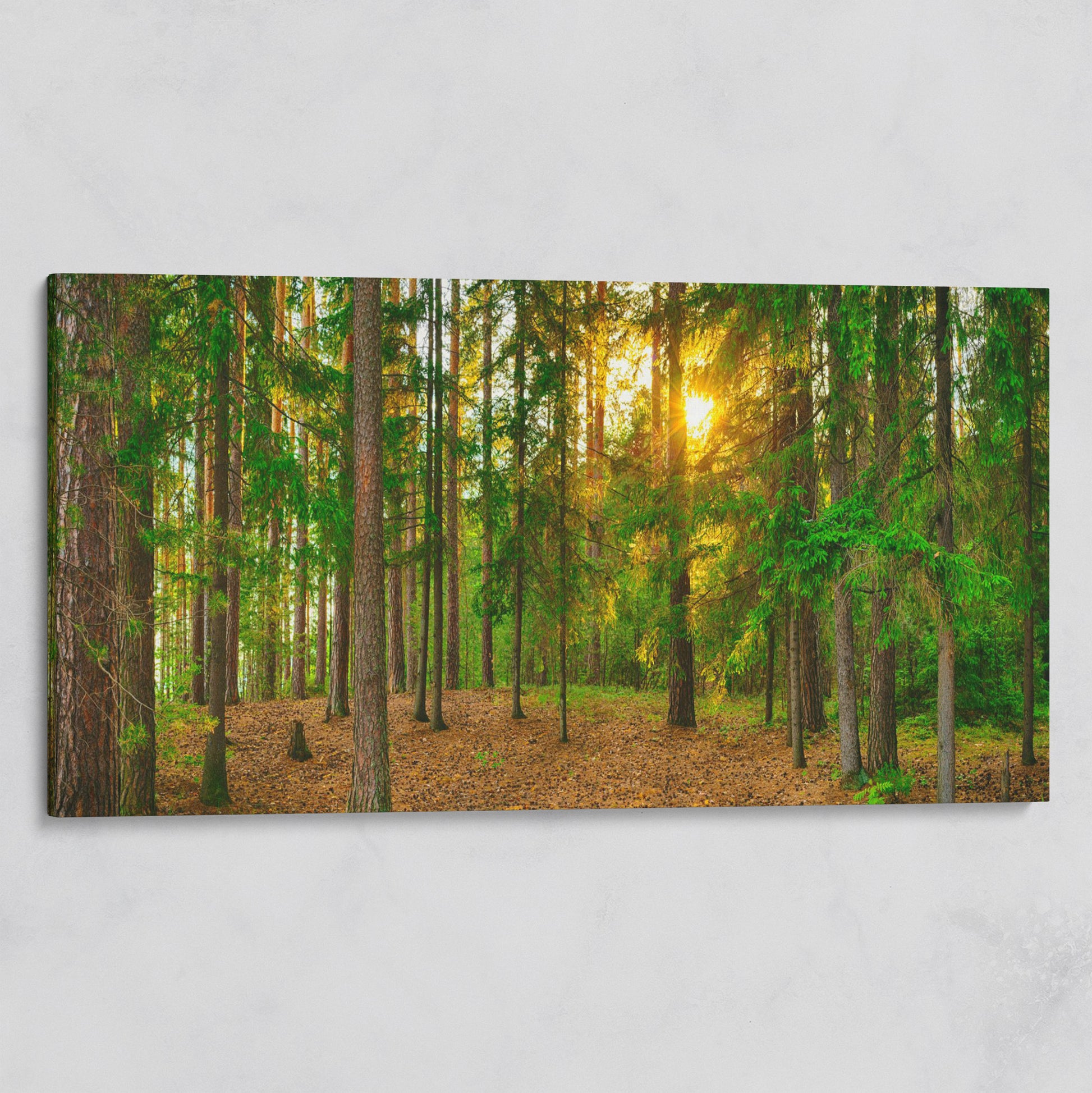 Sunlit Forest Canvas Art, Golden Hour Through the Tree Canopy on gallery wrap