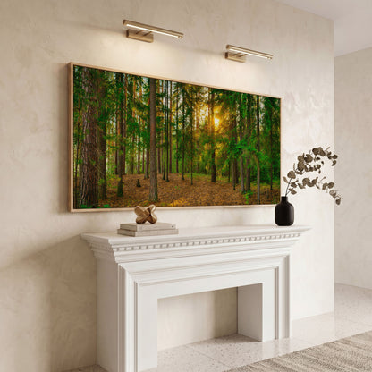 Sunlit Forest Canvas Art, Golden Hour Through the Tree Canopy in white oak floating frame