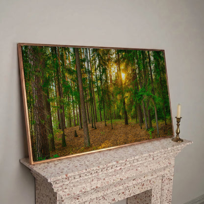 Sunlit Forest Canvas Art, Golden Hour Through the Tree Canopy in rose gold floating frame
