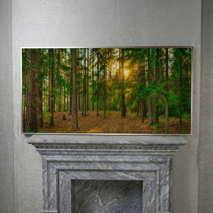 Sunlit Forest Canvas Art, Golden Hour Through the Tree Canopy in silver floating frame