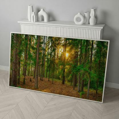 Sunlit Forest Canvas Art, Golden Hour Through the Tree Canopy in white floating frame