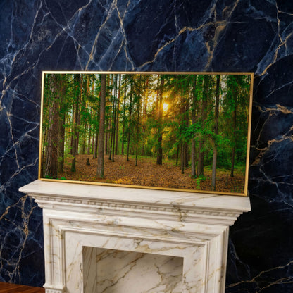 Sunlit Forest Canvas Art, Golden Hour Through the Tree Canopy in yellow gold floating frame