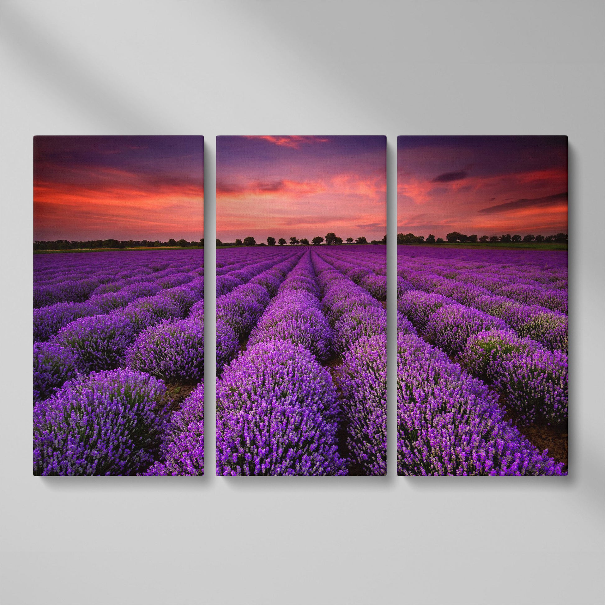 Lavender Field at Sunset Canvas Wall Art as 3-panel split version