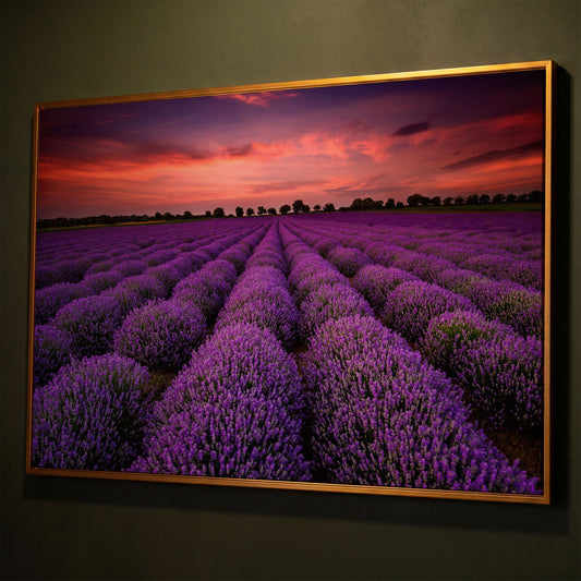 Lavender Field at Sunset Canvas Wall Art shown in antique gold floating frame