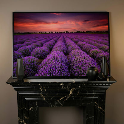 Lavender Field at Sunset Canvas Wall Art in black floating frame