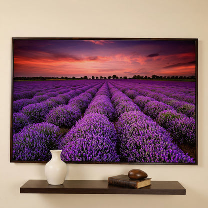 Lavender Field at Sunset Canvas Wall Art in dark walnut floating frame