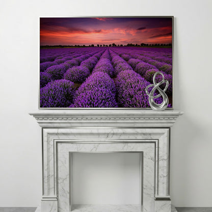 Lavender Field at Sunset Canvas Wall Art in silver floating frame
