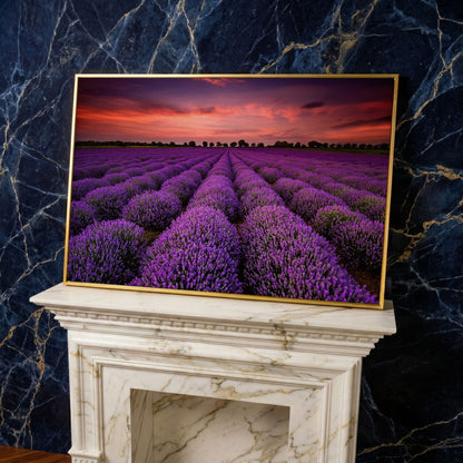 Lavender Field at Sunset Canvas Wall Art in yellow gold floating frame