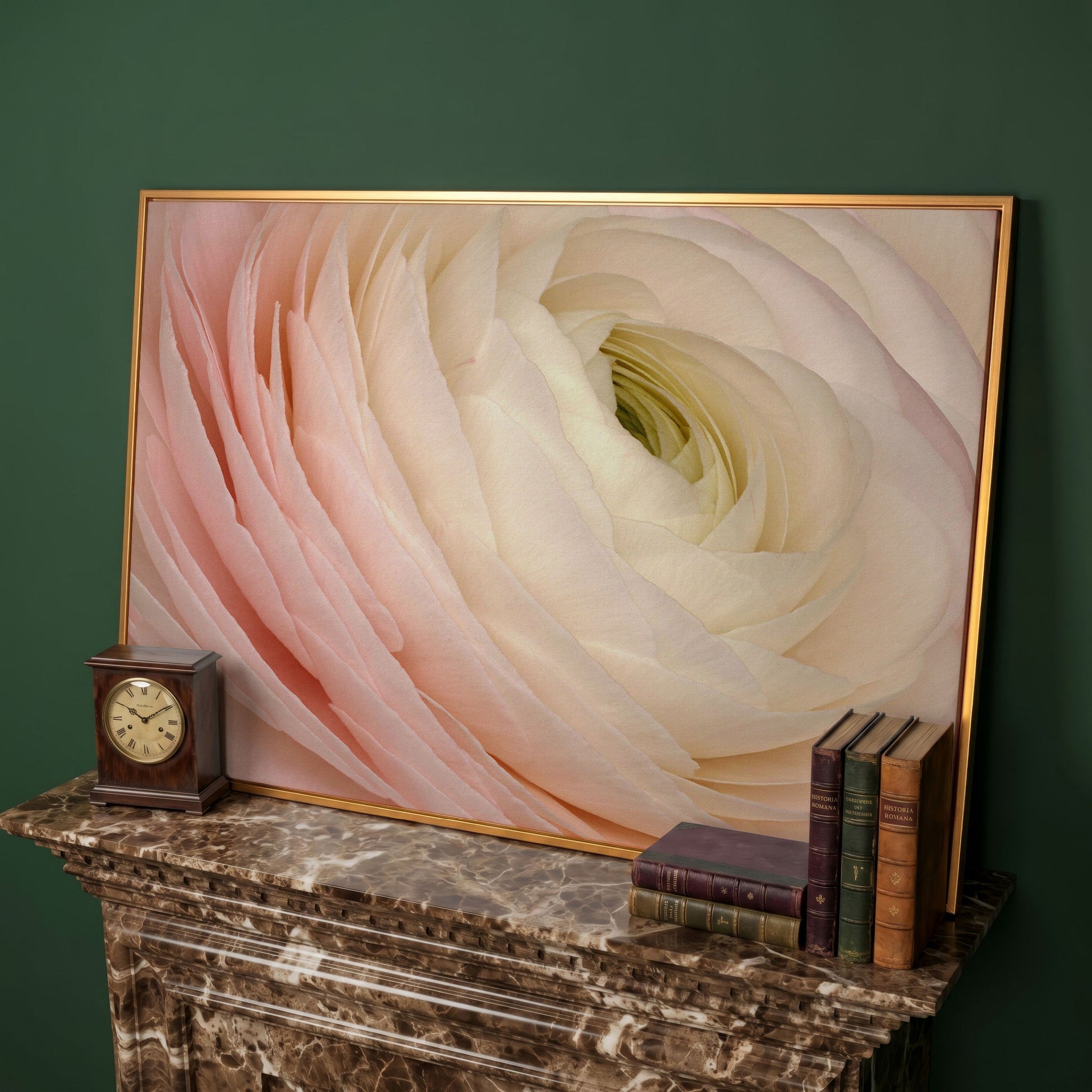 Soft Pink Ranunculus Close-Up Canvas Wall Art in antique gold floating frame