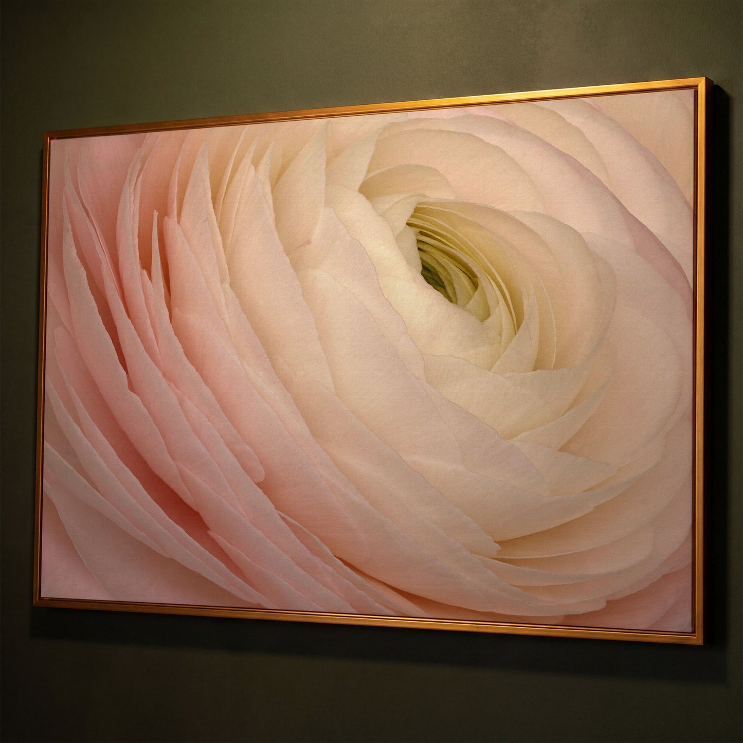 Soft Pink Ranunculus Close-Up Canvas Wall Art shown in antique gold floating frame