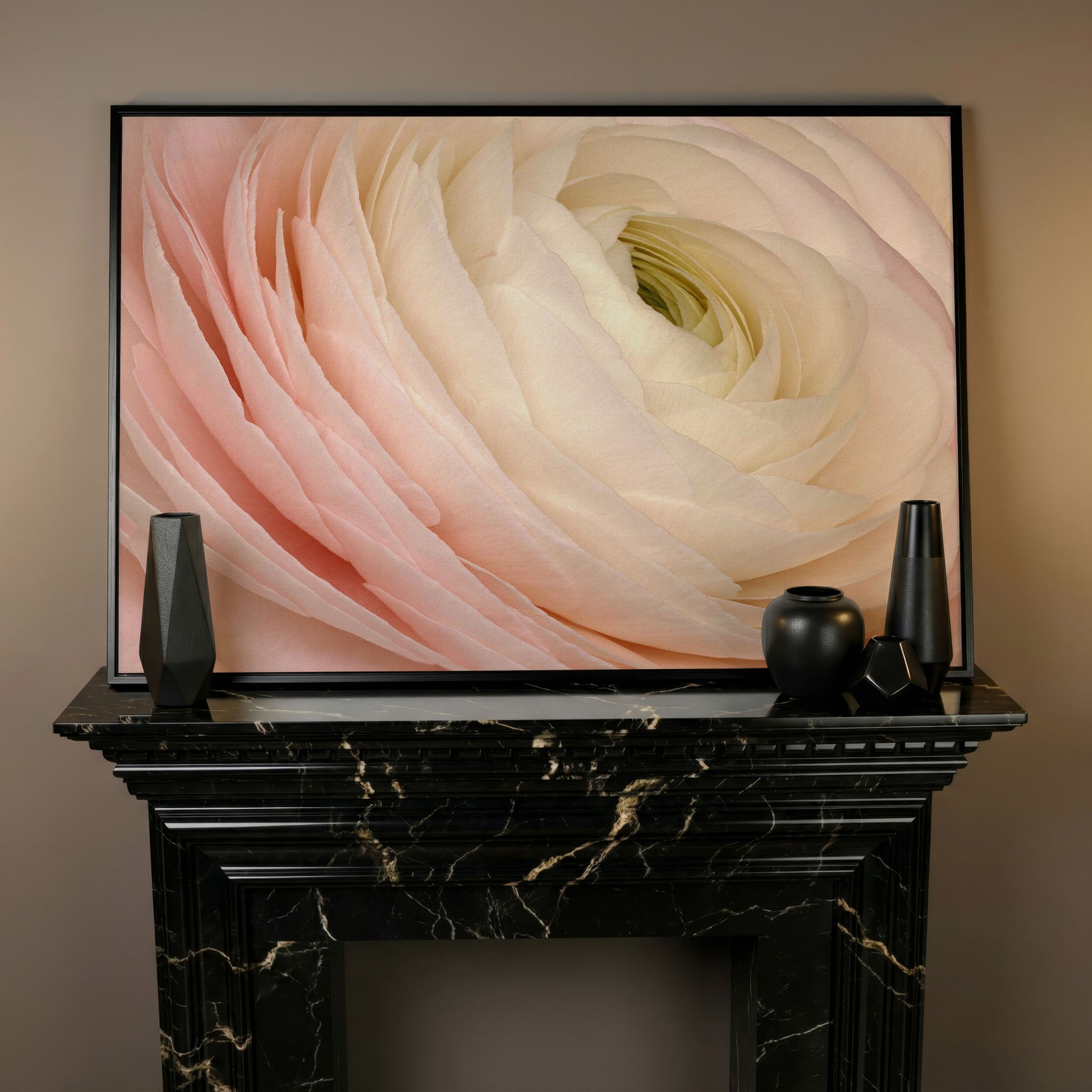 Soft Pink Ranunculus Close-Up Canvas Wall Art in black floating frame