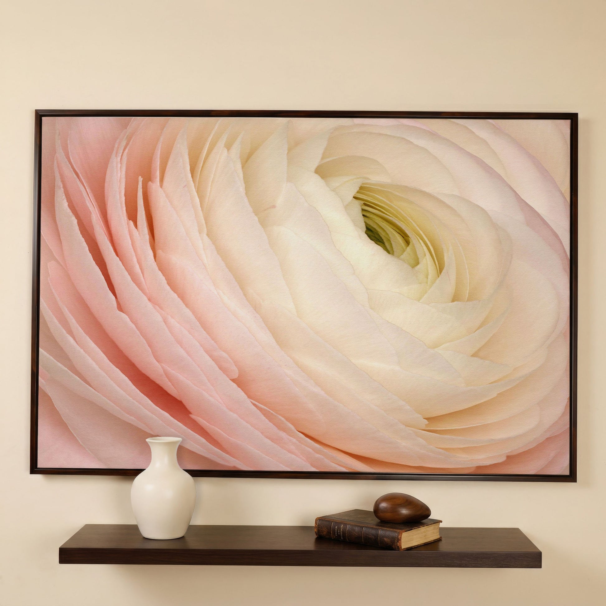 Soft Pink Ranunculus Close-Up Canvas Wall Art in dark walnut floating frame