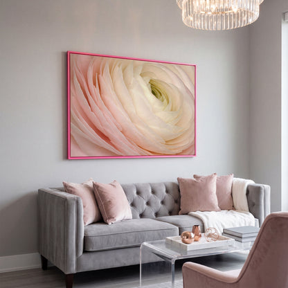 Soft Pink Ranunculus Close-Up Canvas Wall Art in pink floating frame