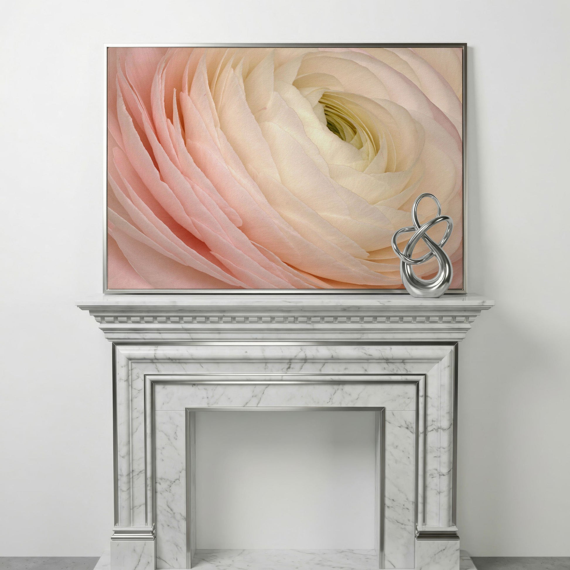 Soft Pink Ranunculus Close-Up Canvas Wall Art in silver floating frame