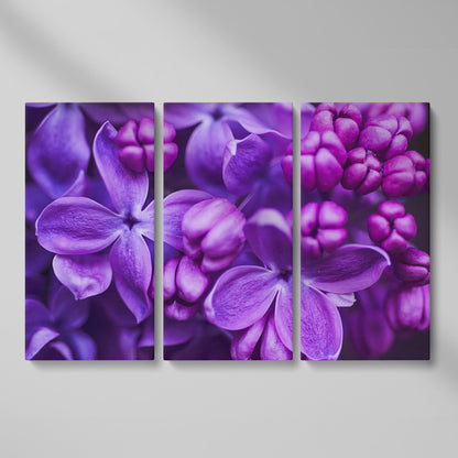 Lilac Blooms Close-Up Canvas Wall Art, Floral Landscape Print as 3-panel split version