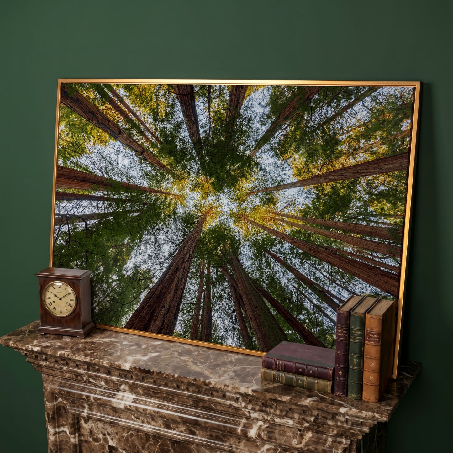 Looking Up Through the Redwoods: Forest Floor Canvas Art in antique gold floating frame