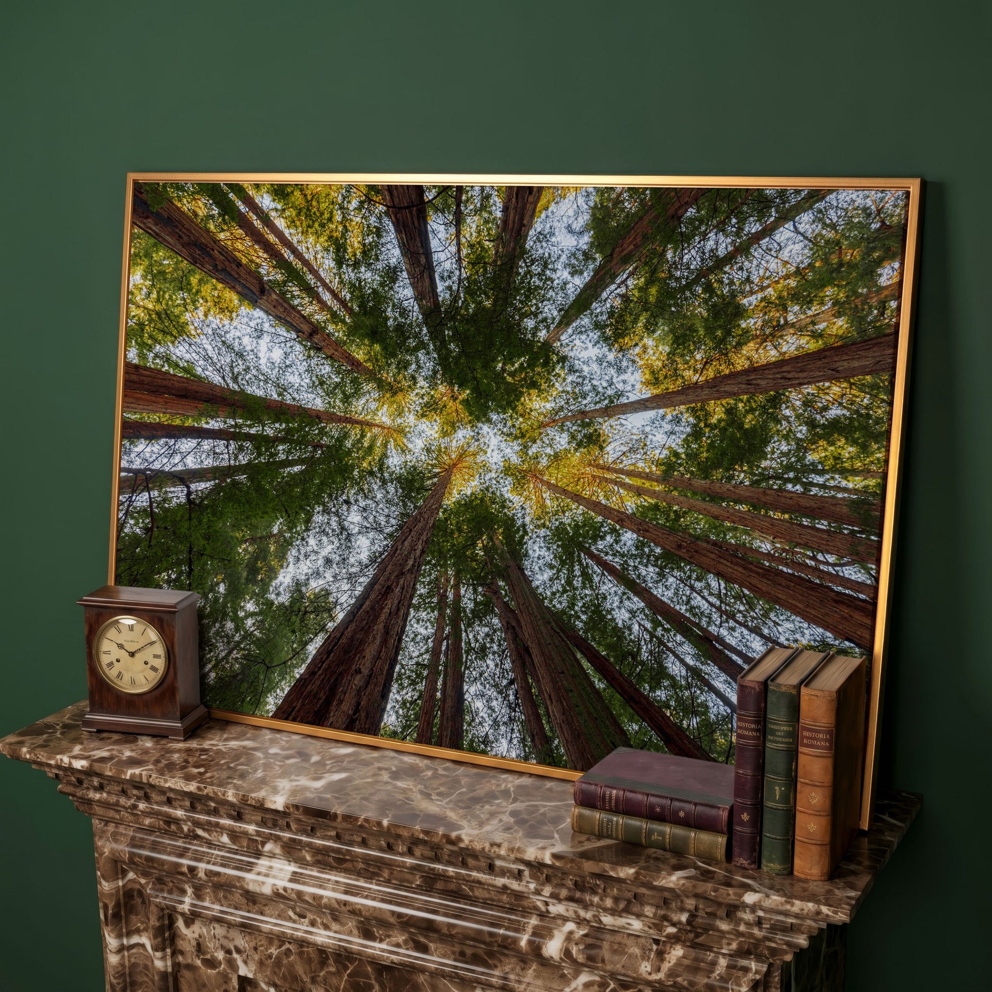 Looking Up Through the Redwoods: Forest Floor Canvas Art in antique gold floating frame