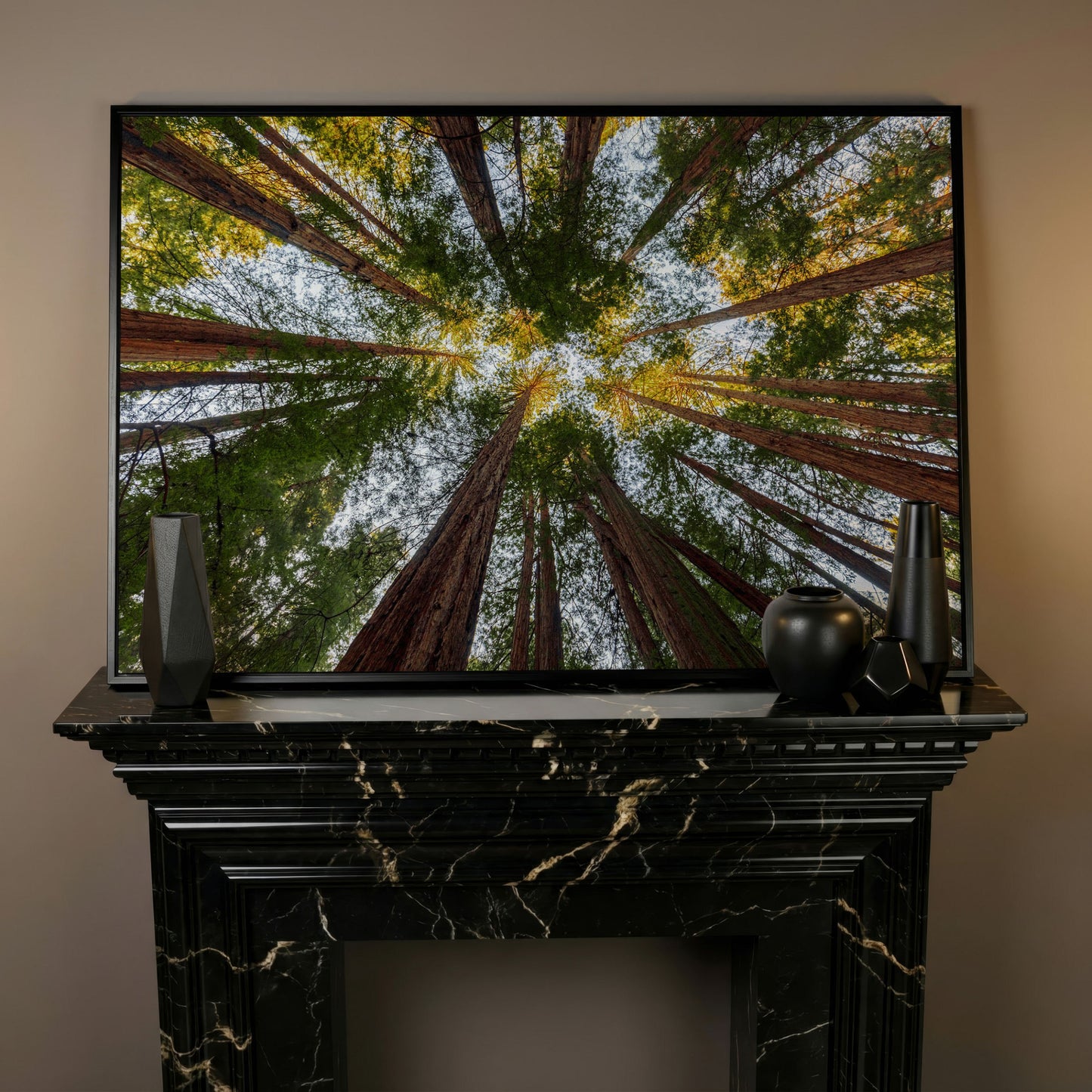 Looking Up Through the Redwoods: Forest Floor Canvas Art in black floating frame