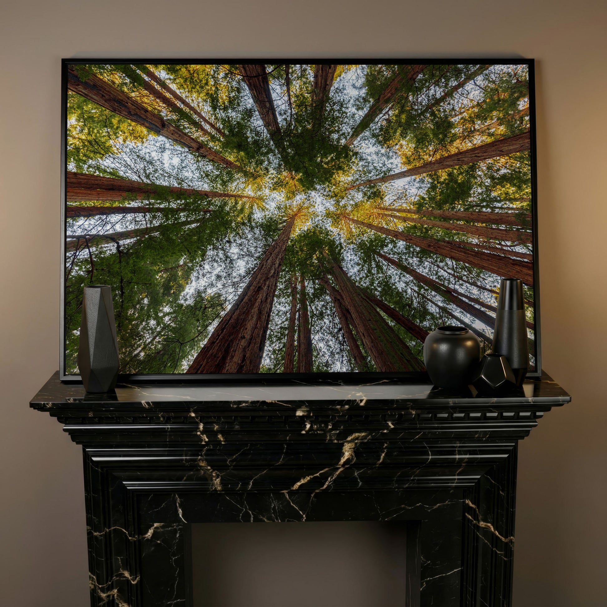 Looking Up Through the Redwoods: Forest Floor Canvas Art in black floating frame