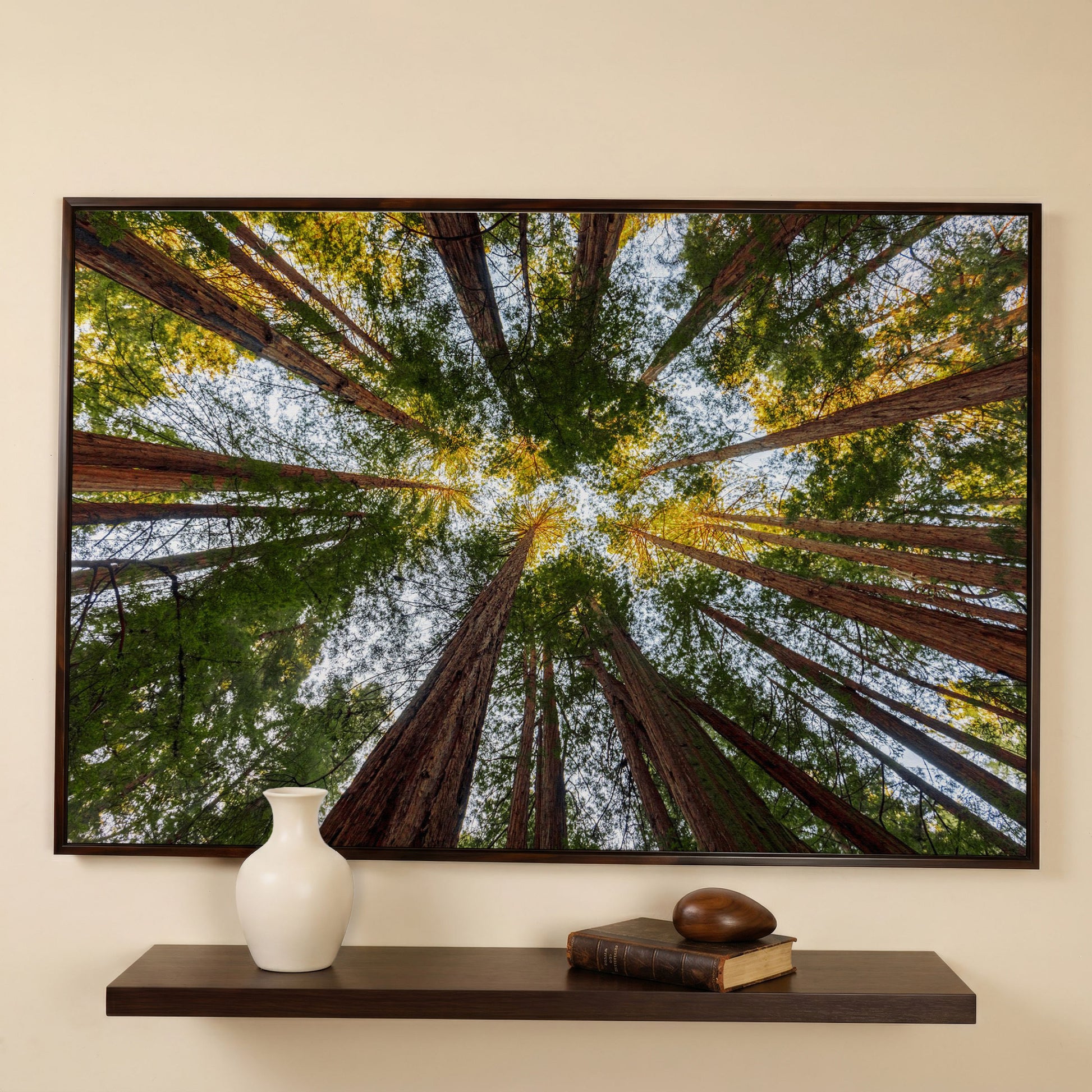 Looking Up Through the Redwoods: Forest Floor Canvas Art in dark walnut floating frame