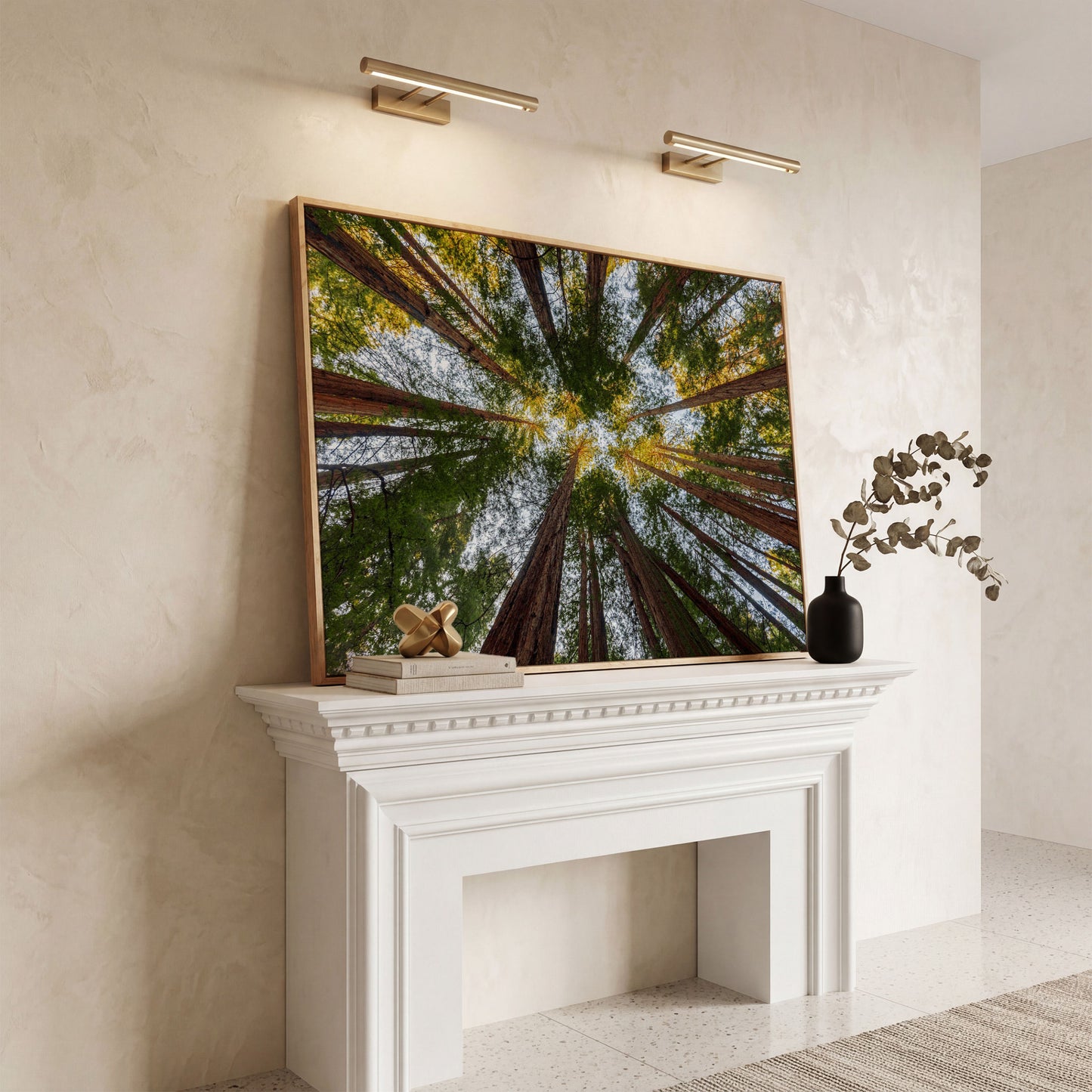 Looking Up Through the Redwoods: Forest Floor Canvas Art in white oak floating frame