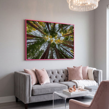 Looking Up Through the Redwoods: Forest Floor Canvas Art in pink floating frame