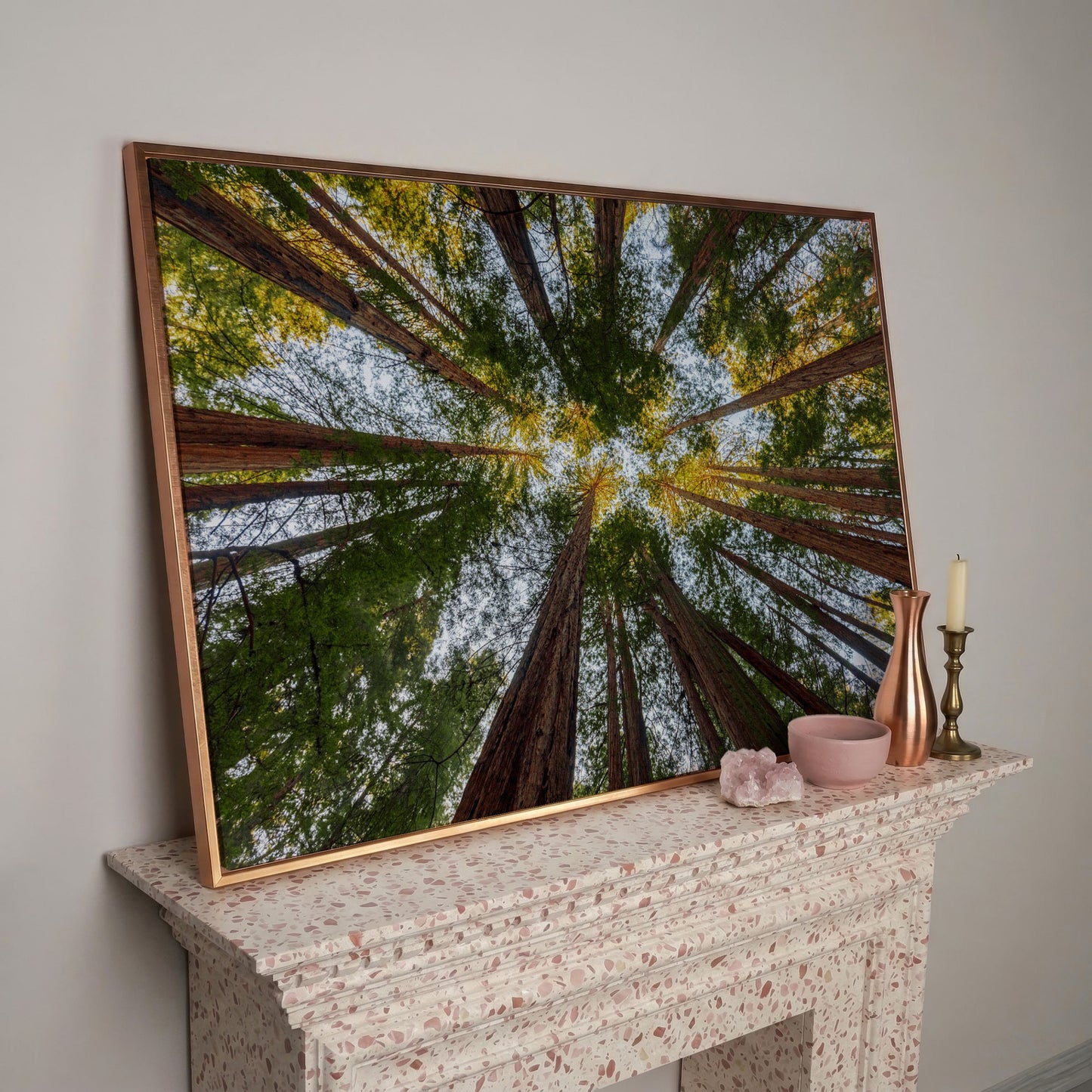 Looking Up Through the Redwoods: Forest Floor Canvas Art in rose gold floating frame