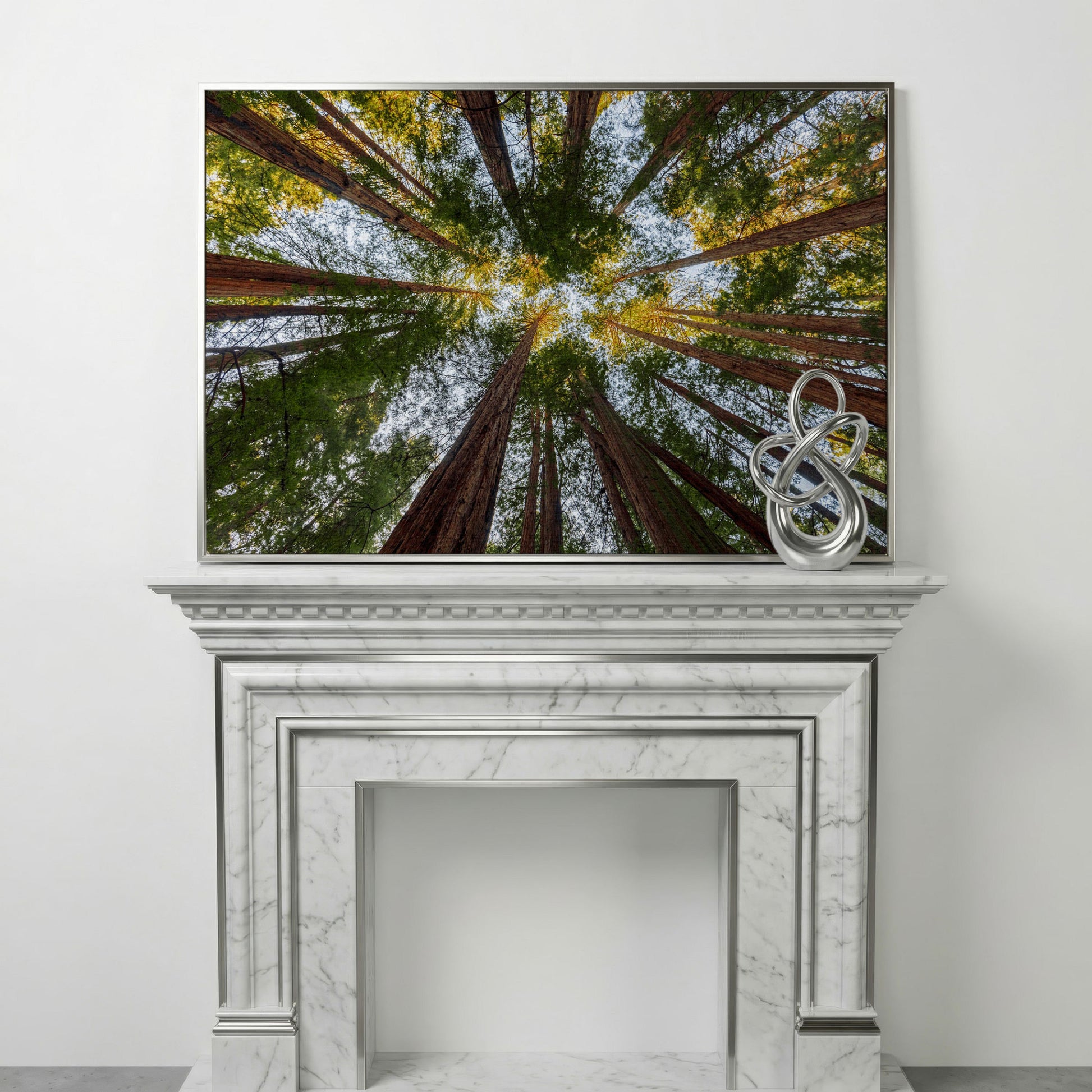Looking Up Through the Redwoods: Forest Floor Canvas Art in silver floating frame