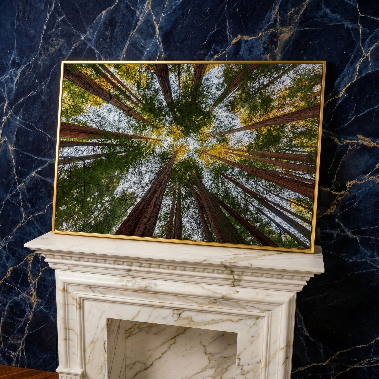 Looking Up Through the Redwoods: Forest Floor Canvas Art in yellow gold floating frame