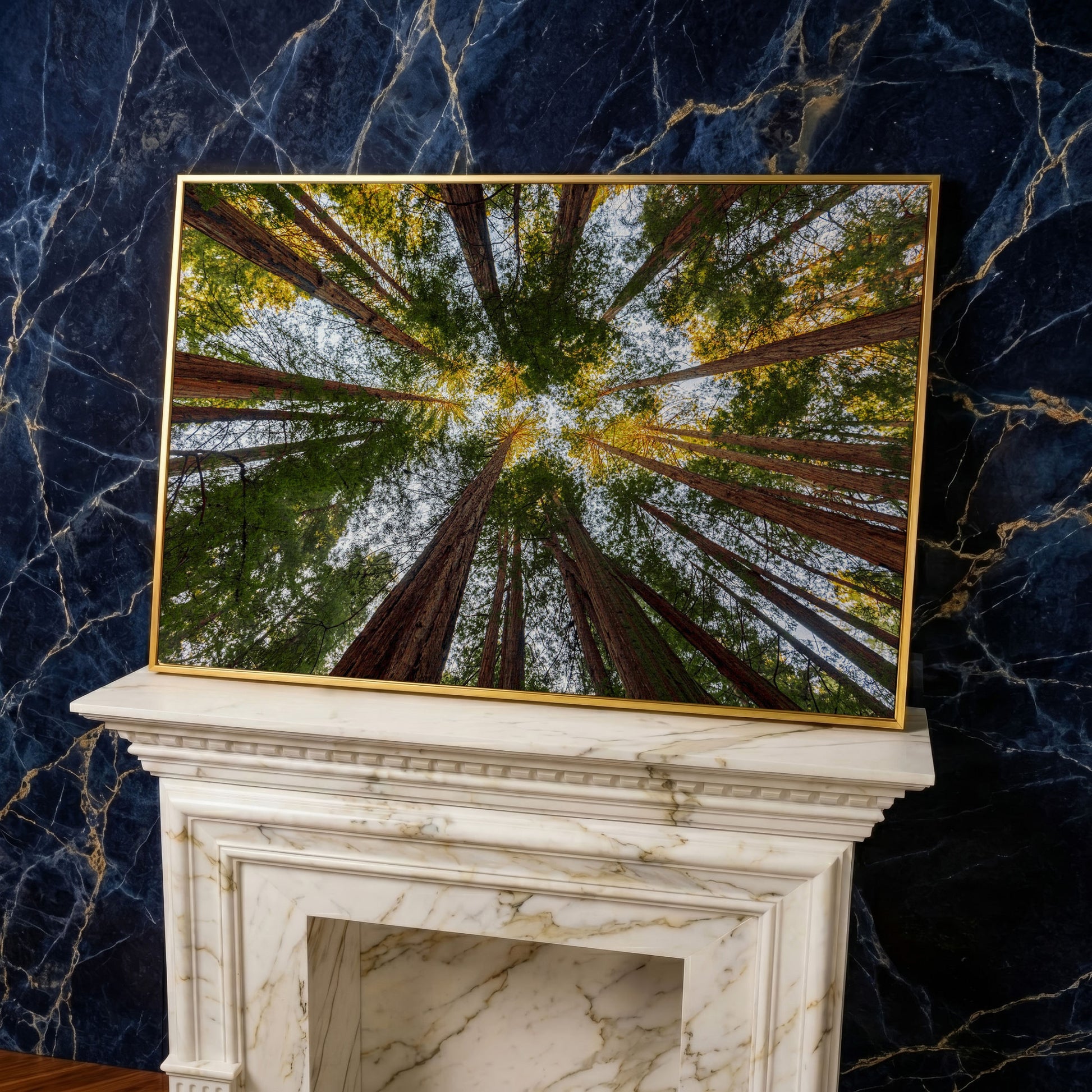 Looking Up Through the Redwoods: Forest Floor Canvas Art in yellow gold floating frame