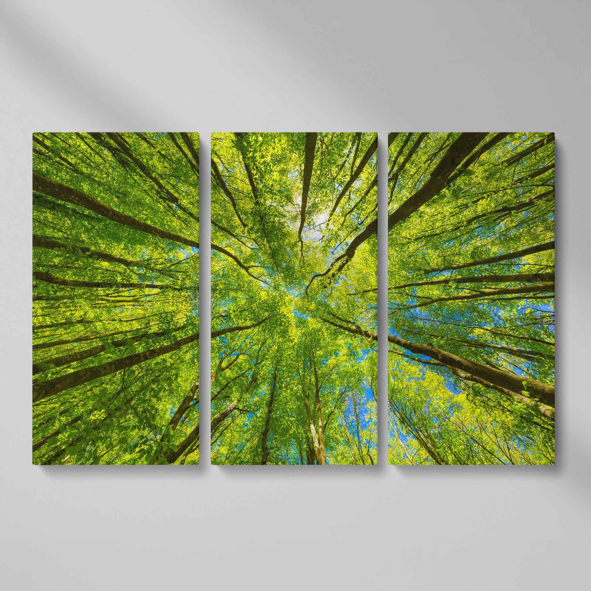 Looking Up Through a Forest Canopy Canvas Wall Art as 3-panel split version