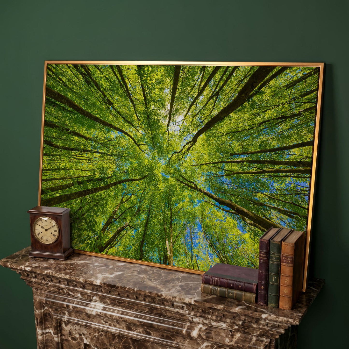 Looking Up Through a Forest Canopy Canvas Wall Art in antique gold floating frame