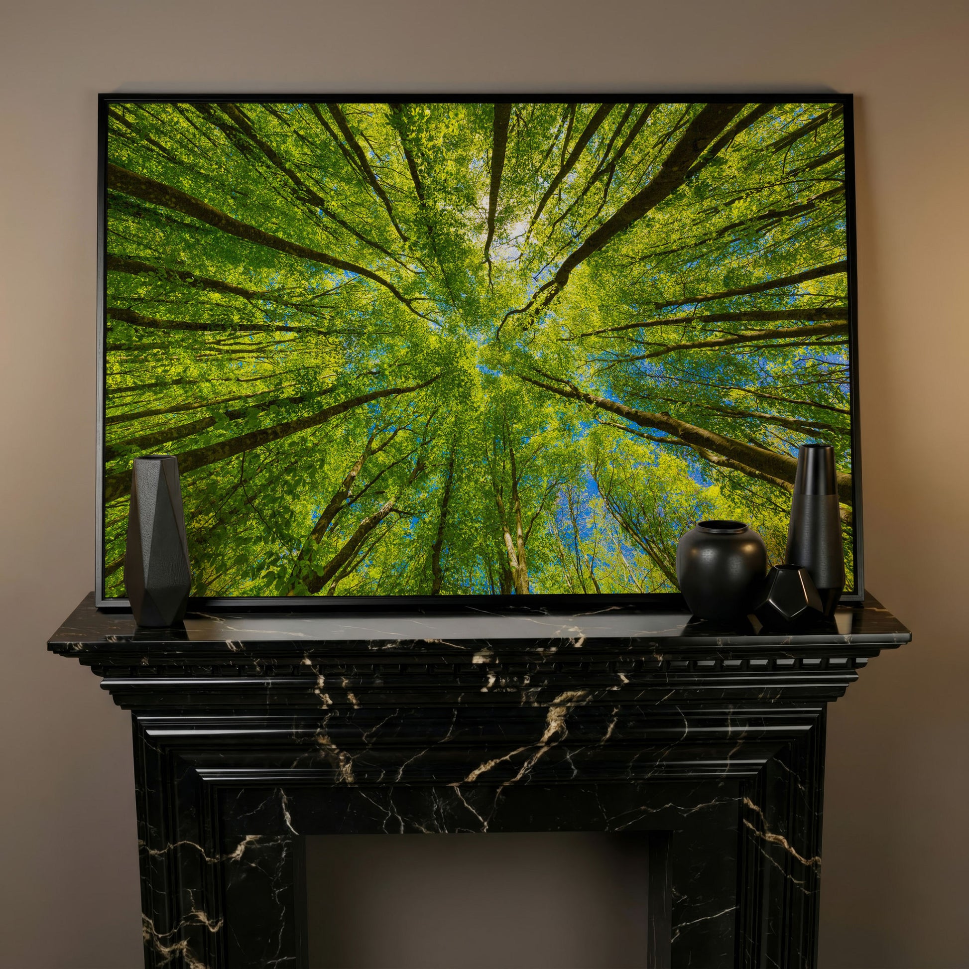 Looking Up Through a Forest Canopy Canvas Wall Art in black floating frame