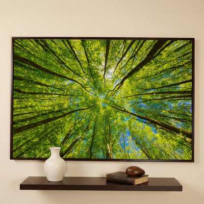 Looking Up Through a Forest Canopy Canvas Wall Art in dark walnut floating frame