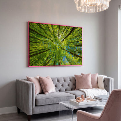 Looking Up Through a Forest Canopy Canvas Wall Art in pink floating frame