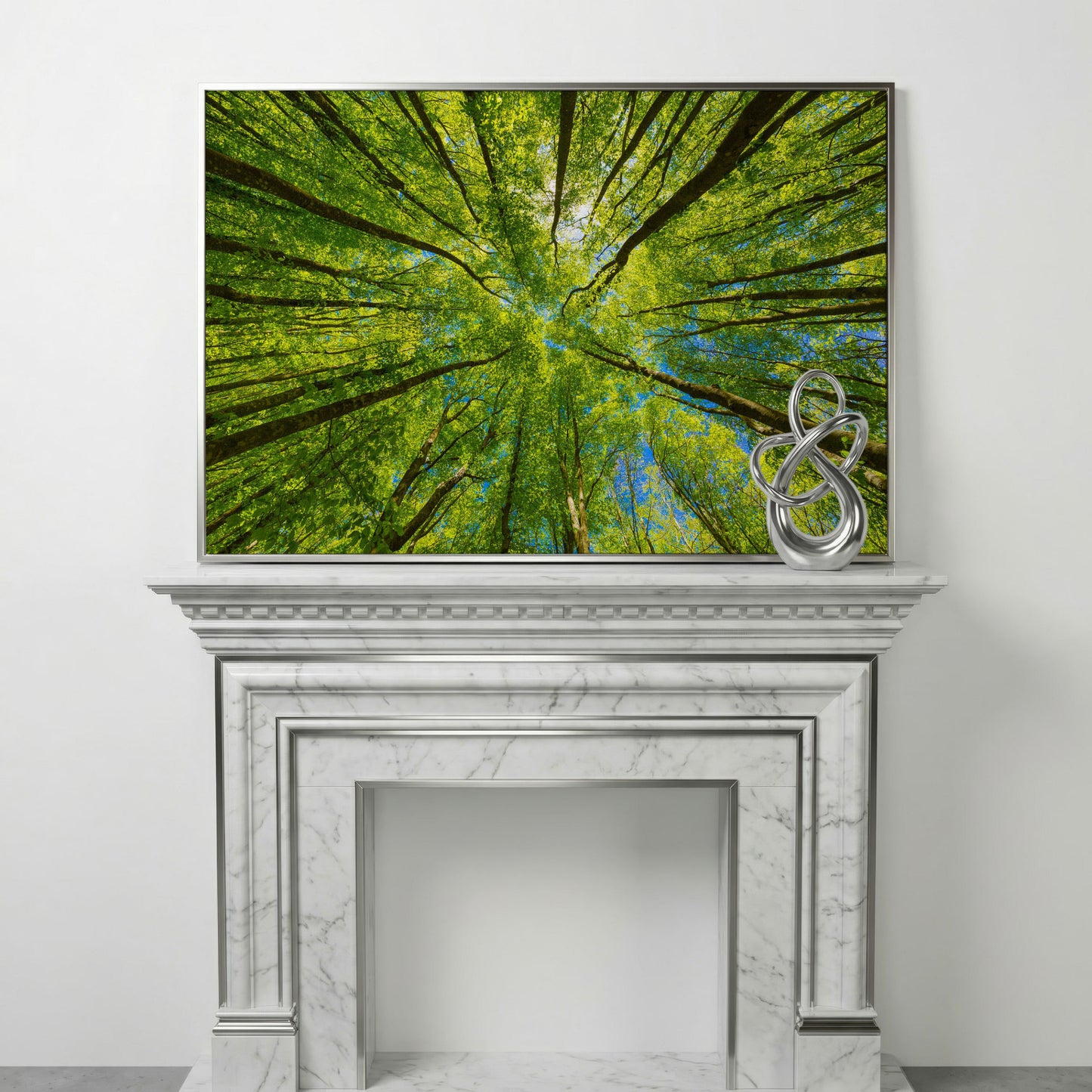 Looking Up Through a Forest Canopy Canvas Wall Art in silver floating frame