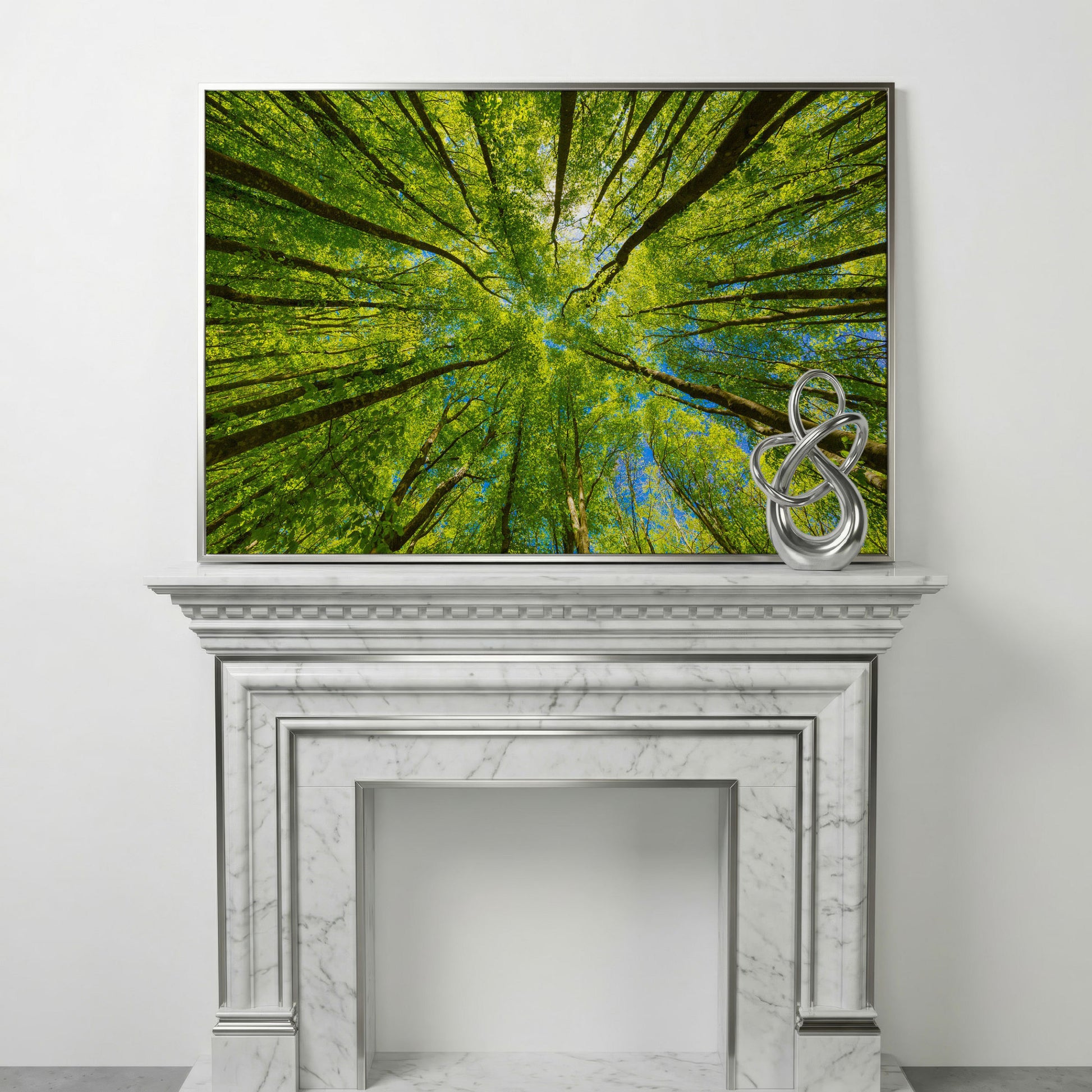 Looking Up Through a Forest Canopy Canvas Wall Art in silver floating frame