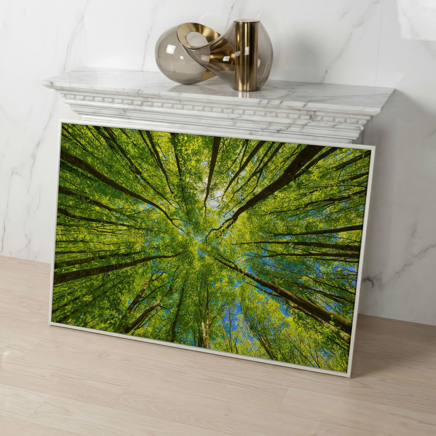 Looking Up Through a Forest Canopy Canvas Wall Art in white floating frame
