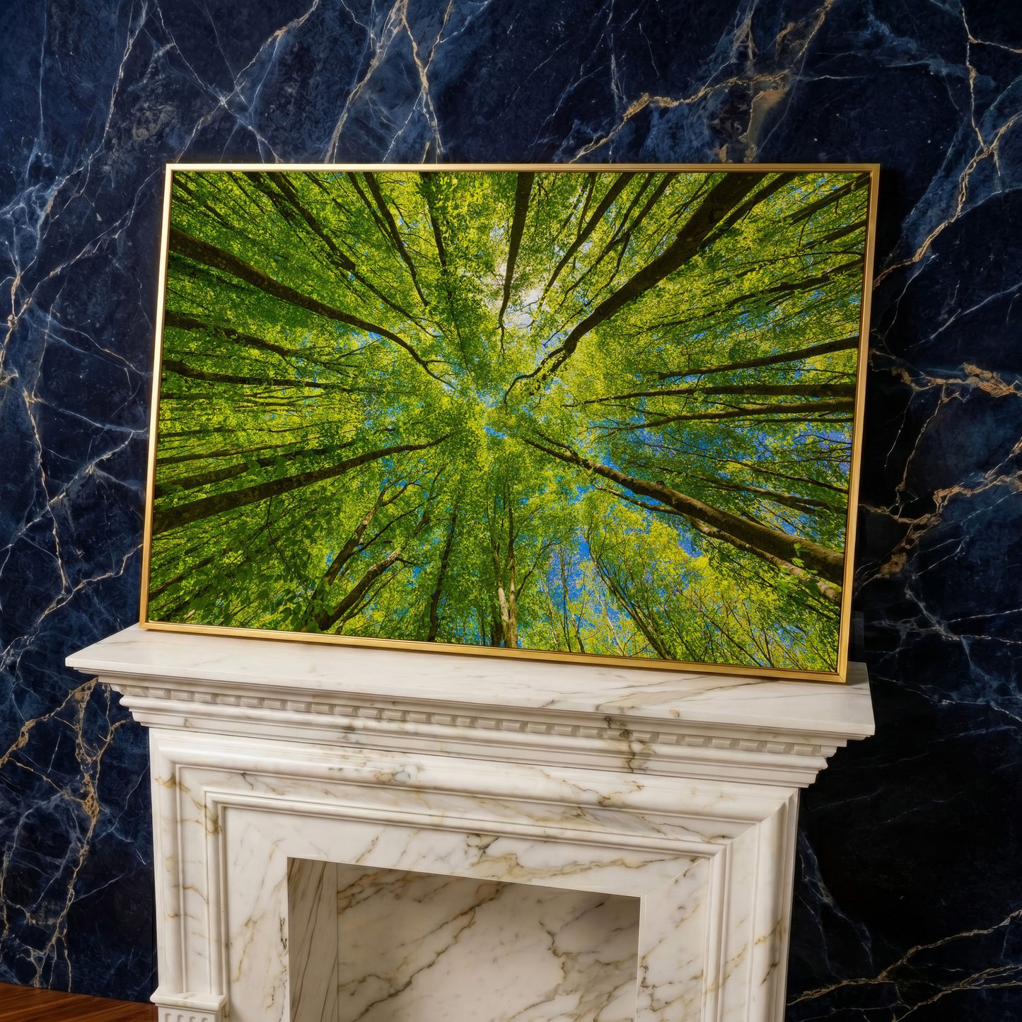Looking Up Through a Forest Canopy Canvas Wall Art in yellow gold floating frame