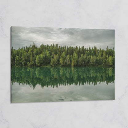 Forest Edge Reflected in Still Water, Misty Landscape Canvas on gallery wrap