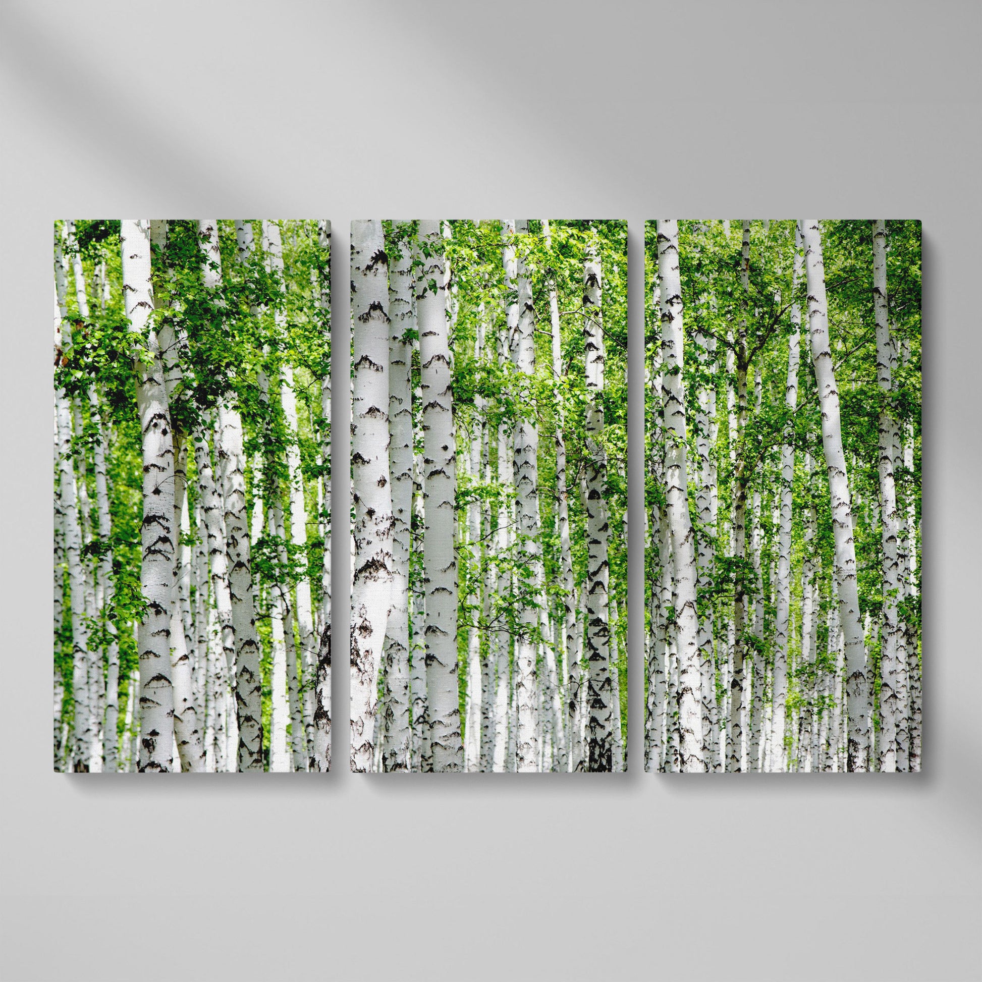 Birch Forest Canvas Wall Art, Sage Green Woodland Landscape as 3-panel split version