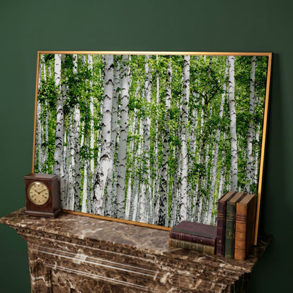 Birch Forest Canvas Wall Art, Sage Green Woodland Landscape in antique gold floating frame