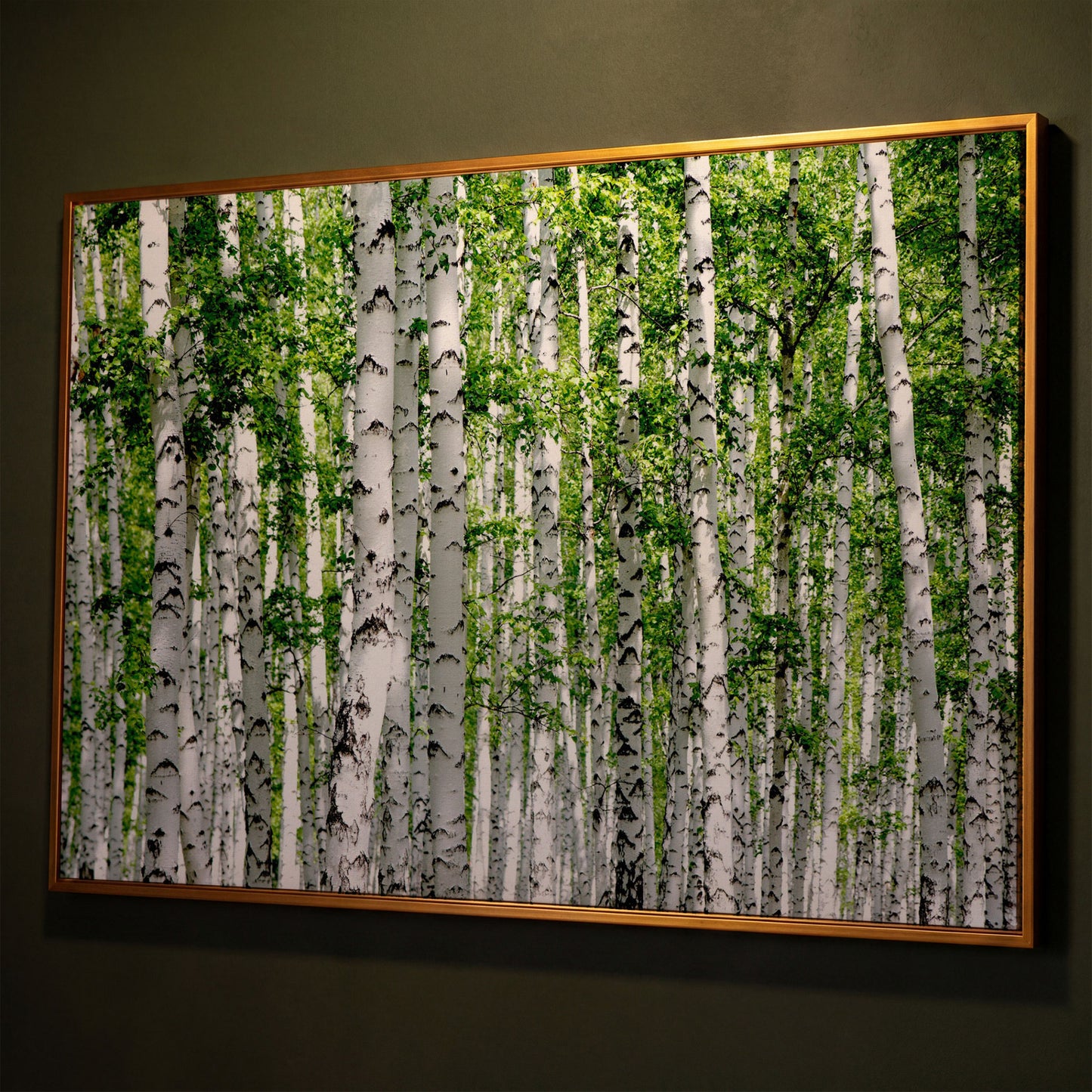 Birch Forest Canvas Wall Art, Sage Green Woodland Landscape shown in antique gold floating frame