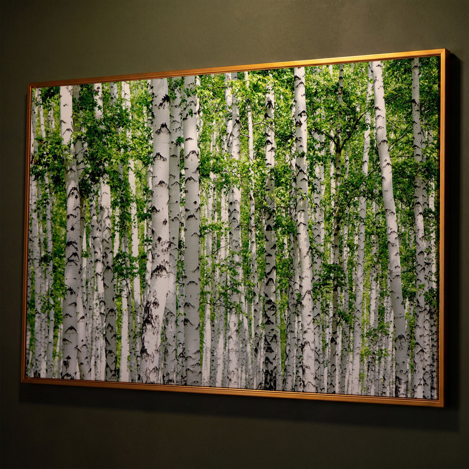 Birch Forest Canvas Wall Art, Sage Green Woodland Landscape shown in antique gold floating frame
