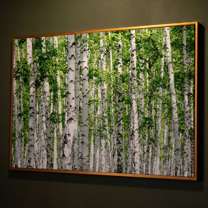 Birch Forest Canvas Wall Art, Sage Green Woodland Landscape shown in antique gold floating frame