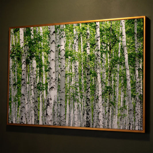 Birch Forest Canvas Wall Art, Sage Green Woodland Landscape shown in antique gold floating frame