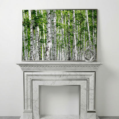 Birch Forest Canvas Wall Art, Sage Green Woodland Landscape in silver floating frame